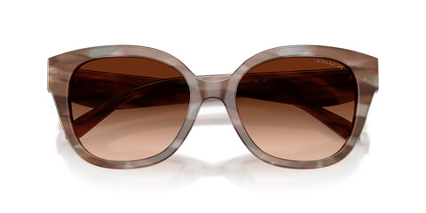 Coach CBY94 HC8438U 5901/74 Sunglasses