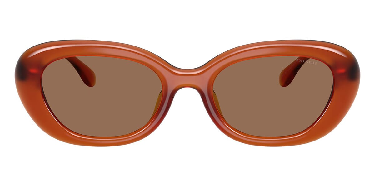 Coach Cdp35 HC8448U 5930/73 Sunglasses
