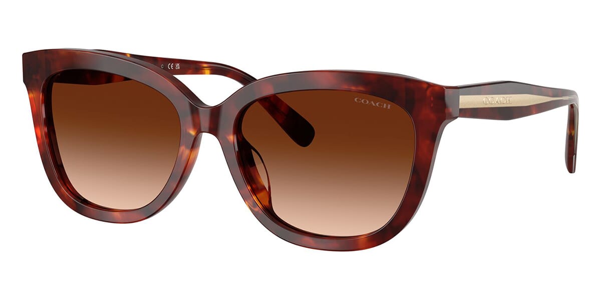 Coach Cdp35 HC8453U 5938/74 Sunglasses