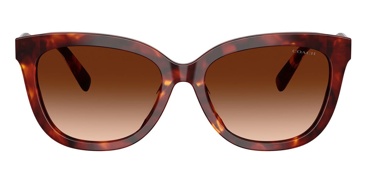 Coach Cdp35 HC8453U 5938/74 Sunglasses