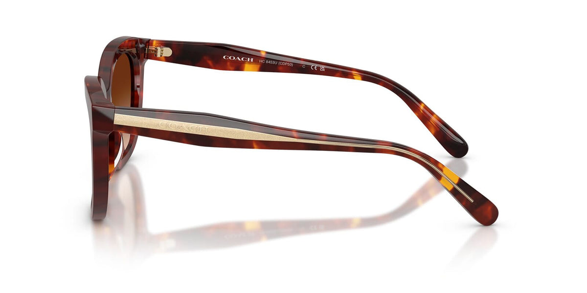 Coach Cdp35 HC8453U 5938/74 Sunglasses