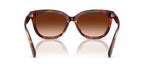 Coach Cdp35 HC8453U 5938/74 Sunglasses