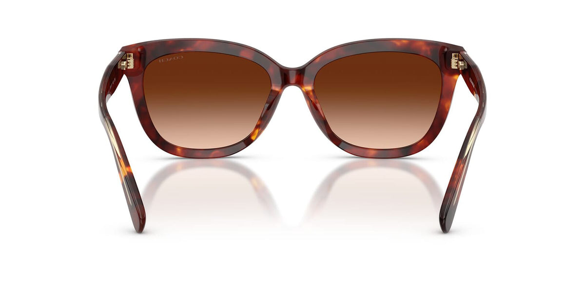 Coach Cdp35 HC8453U 5938/74 Sunglasses
