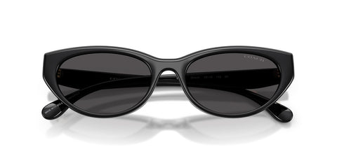 Coach Cdp42 HC8456D 5002/87 Sunglasses