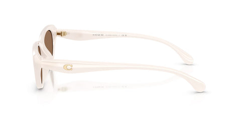 Coach Cdp42 HC8456D 5790/73 Sunglasses