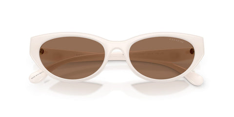 Coach Cdp42 HC8456D 5790/73 Sunglasses