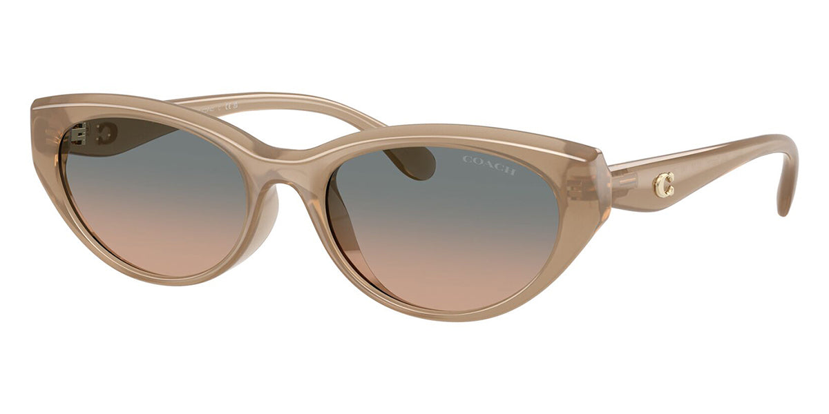 Coach Cdp42 HC8456D 5944/13 Sunglasses