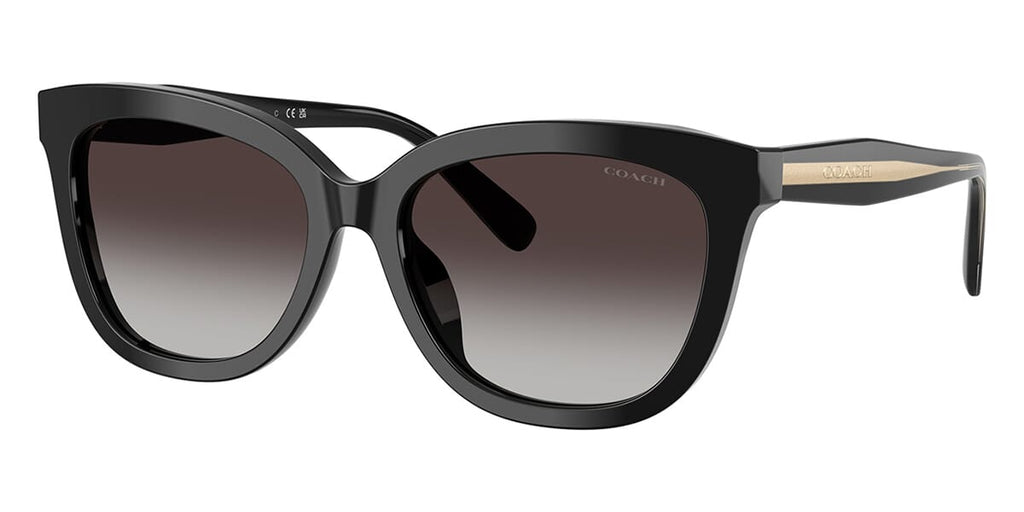 Coach Cdp53 HC8453U 5002/8G Sunglasses