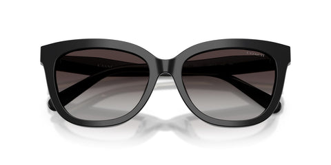 Coach Cdp53 HC8453U 5002/8G Sunglasses