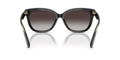 Coach Cdp53 HC8453U 5002/8G Sunglasses