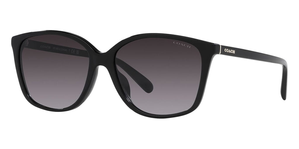 Coach CH558 HC8361U 5002/8G Sunglasses