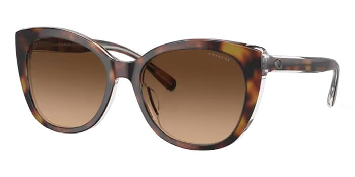 Coach CH566 HC8365U 5742/74 Sunglasses