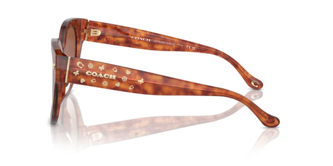 Coach CR612 HC8393U 5774/13 Sunglasses