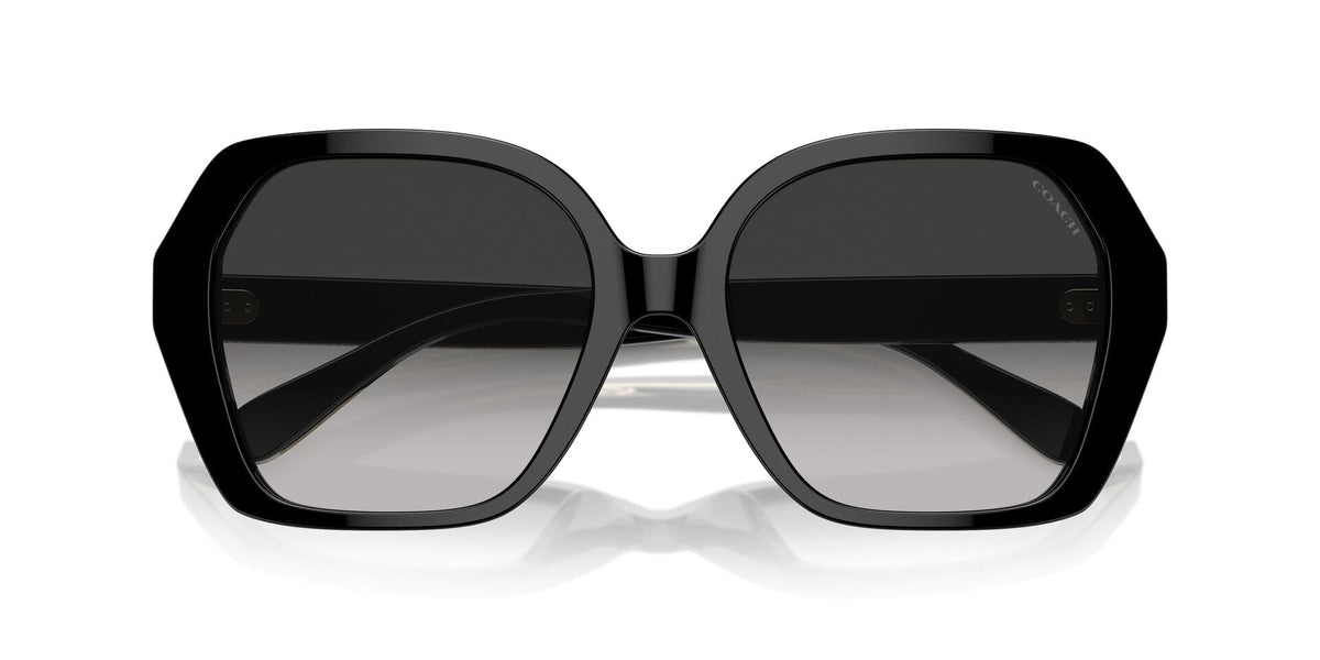 Coach CR615 HC8404U 5002/3C Sunglasses