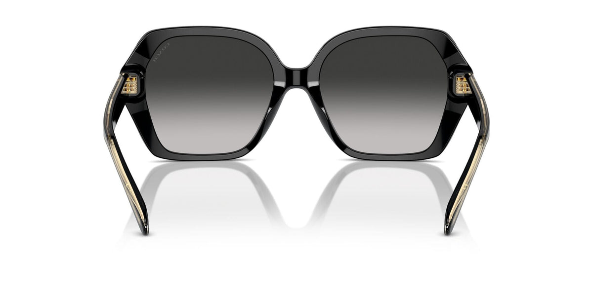 Coach CR615 HC8404U 5002/3C Sunglasses