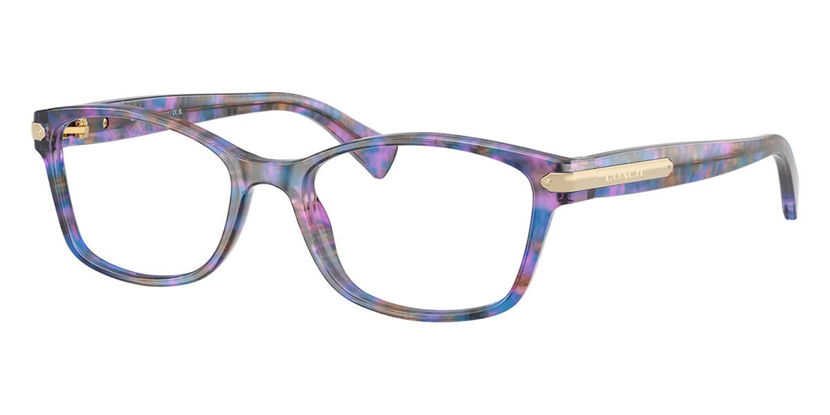 Coach HC6065 5288 Glasses