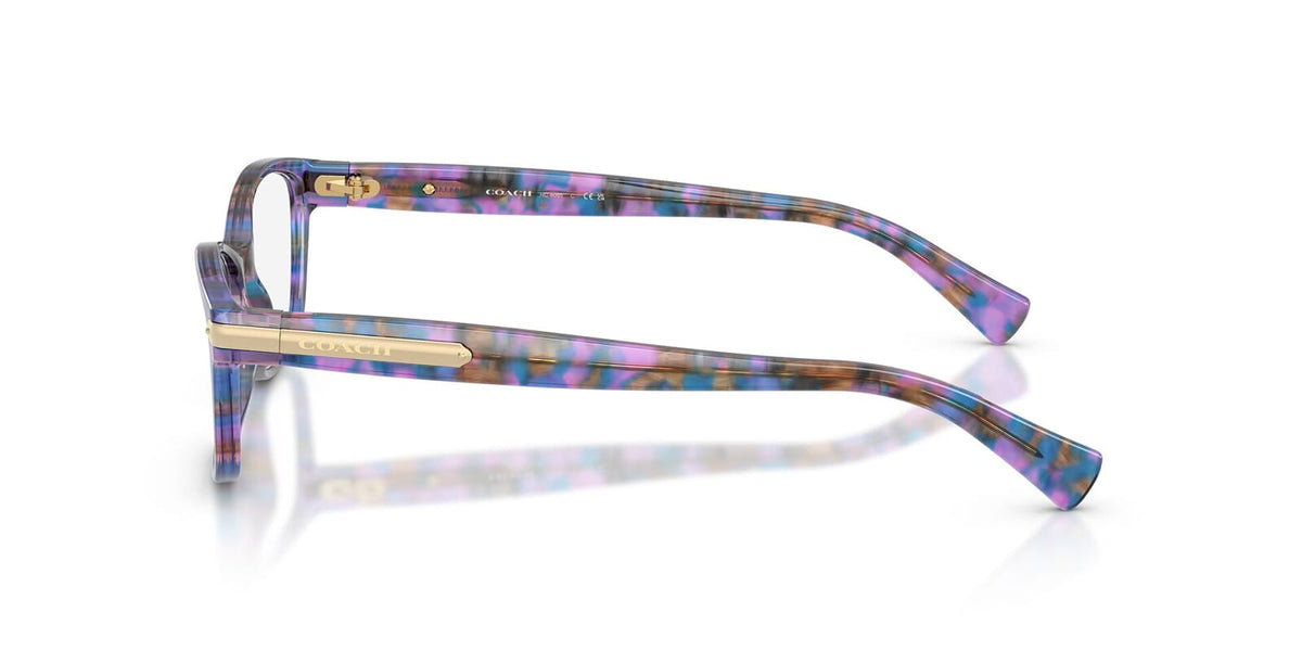 Coach HC6065 5288 Glasses
