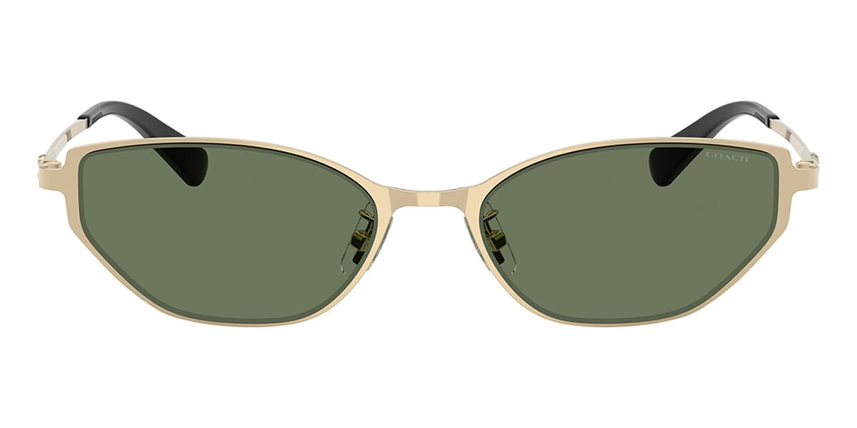 Coach HC7196D 9429/82 Sunglasses