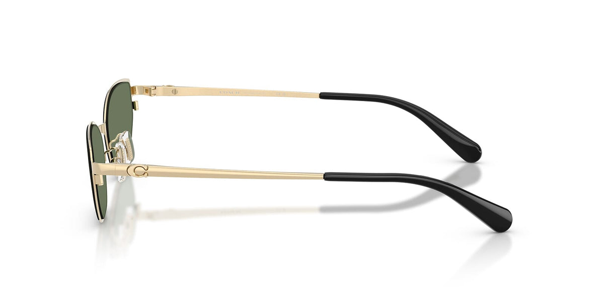 Coach HC7196D 9429/82 Sunglasses