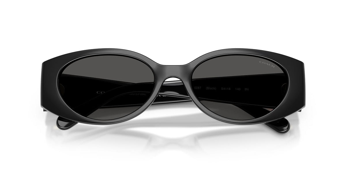 Coach HC8462U 5002/87 Sunglasses