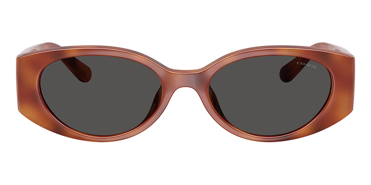 Coach HC8462U 5774/87 Sunglasses