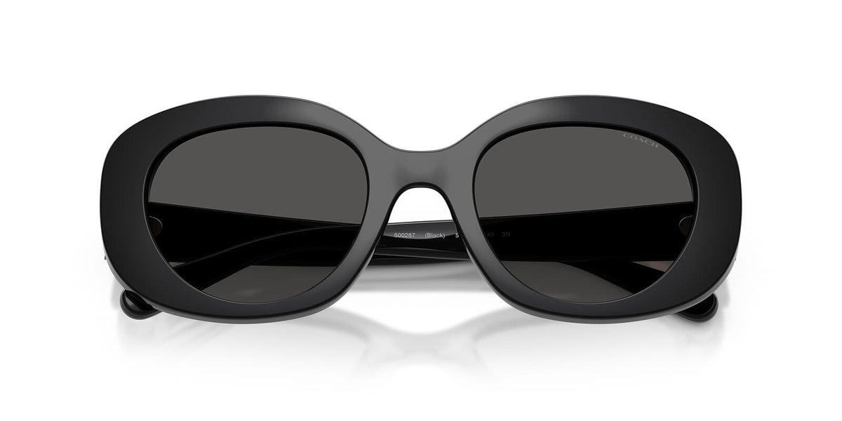 Coach HC8463U 5002/87 Sunglasses