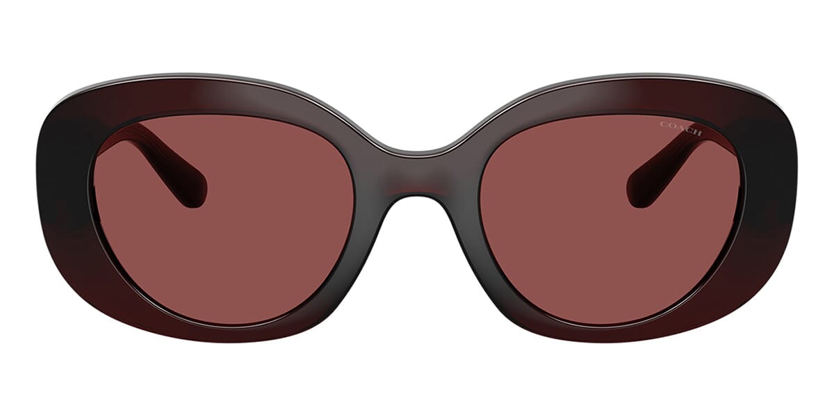 Coach HC8463U 5963/75 Sunglasses