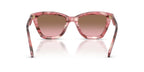 Coach HC8464U 5964/14 Sunglasses