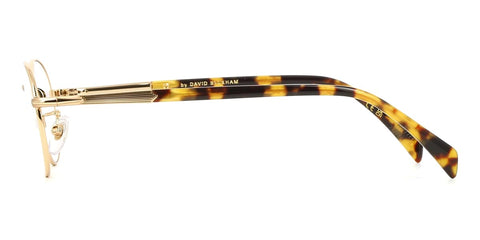 David Beckham DB 1203 HM2 Glasses