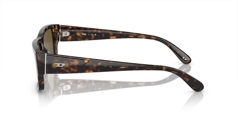 Diesel DL2003 713/73 Sunglasses