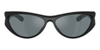 Diesel DL3004U 2002/6G Sunglasses