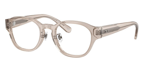 Diesel DL4011D 2007 Glasses
