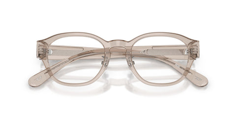 Diesel DL4011D 2007 Glasses