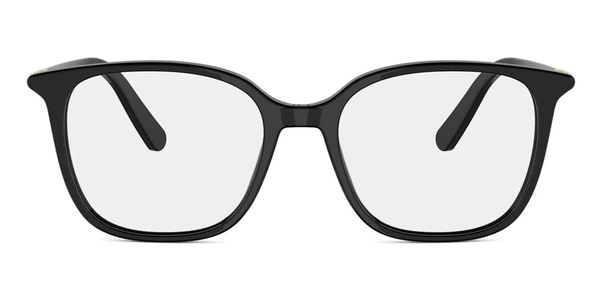 Dior Mini CD O S10I 1000 Glasses