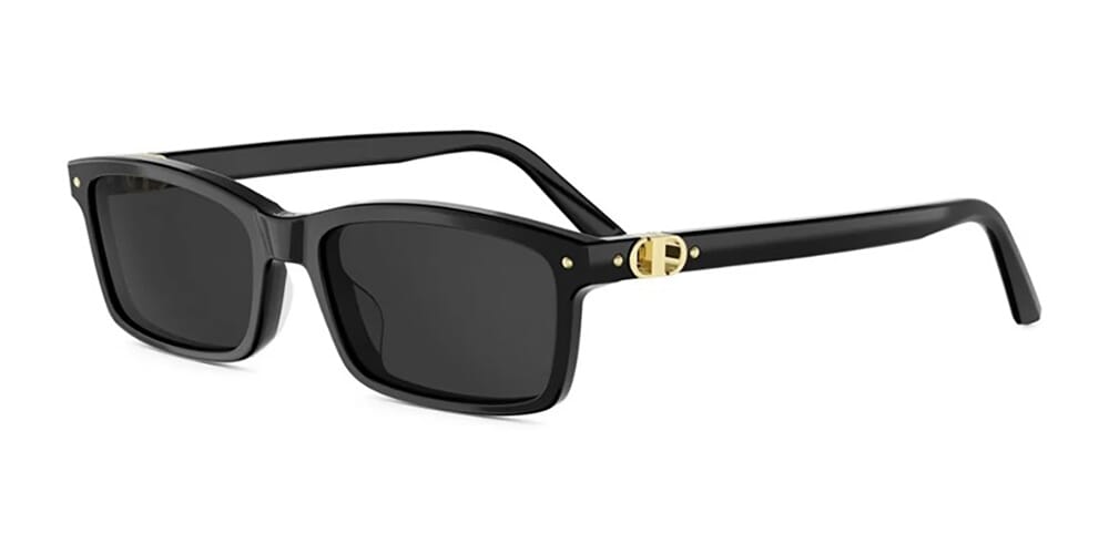 Dior Petit CD S1I 10A0 Sunglasses