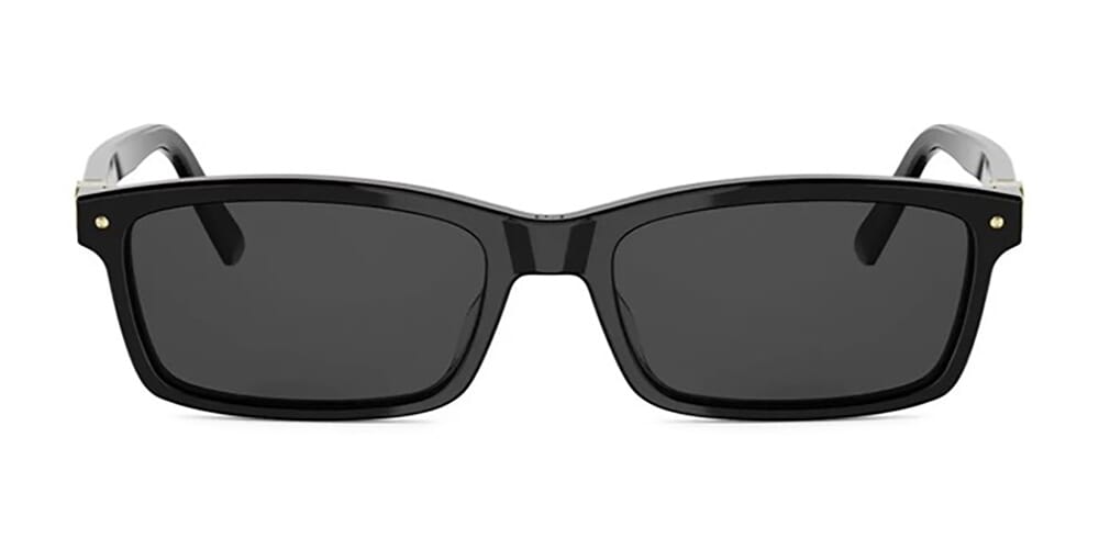 Dior Petit CD S1I 10A0 Sunglasses - Pretavoir