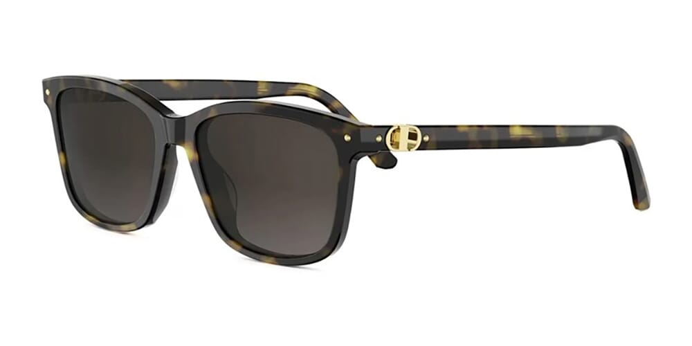 Dior Petit CD S2I 20F1 Sunglasses
