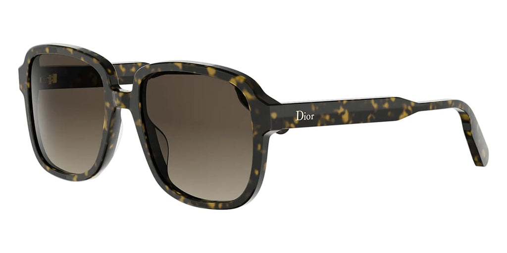DioRibbon S1I 20F1 Sunglasses