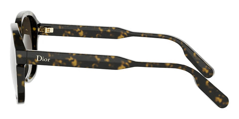 DioRibbon S1I 20F1 Sunglasses