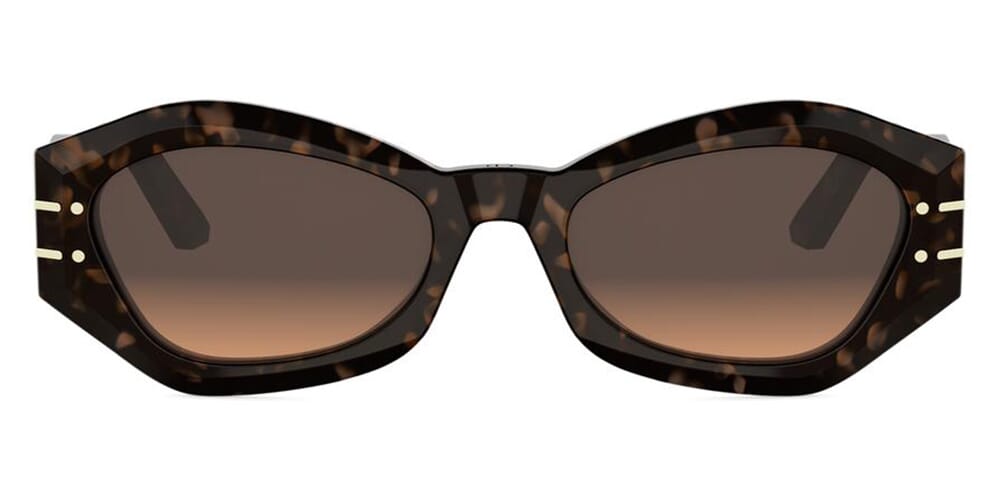 DiorSignature B1U 24F1 Sunglasses - Pretavoir