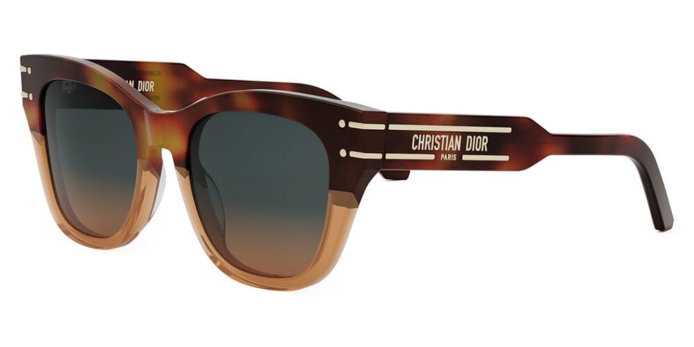 DiorSignature B4I 25F2 Sunglasses