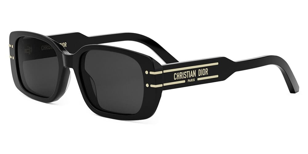 DiorSignature S12I 10A0 Sunglasses