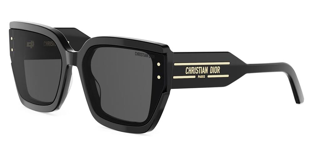 DiorSignature S14I 10A0 Sunglasses