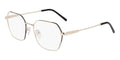 DKNY DK1033 717 Glasses
