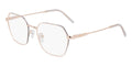 DKNY DK1033 770 Glasses