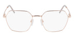 DKNY DK1033 770 Glasses