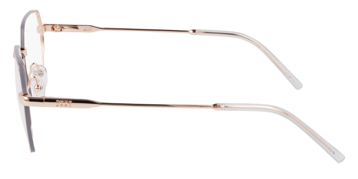 DKNY DK1033 770 Glasses