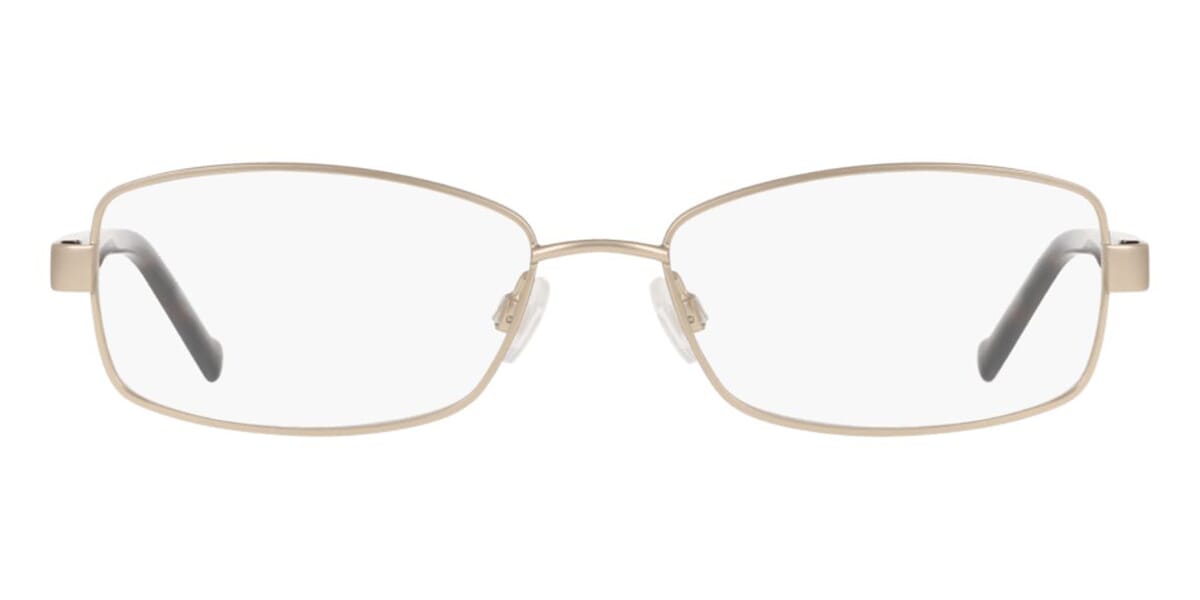 DKNY DK3009 740 Glasses