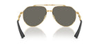 Dolce&Gabbana DG2302 02/R5 Sunglasses