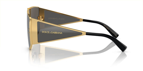 Dolce&Gabbana DG2305 02/87 Sunglasses